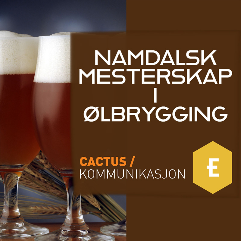 Namdalsk mesterskap nettside